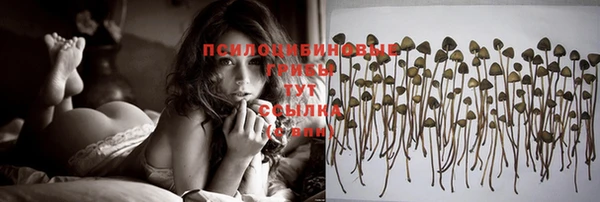 ГАЛЛЮЦИНОГЕННЫЕ ГРИБЫ Алексеевка