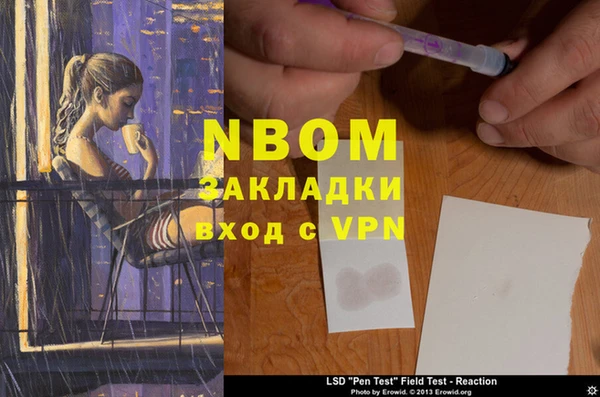 ГАЛЛЮЦИНОГЕННЫЕ ГРИБЫ Алексеевка