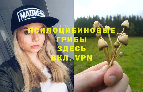 прущие грибы Вяземский