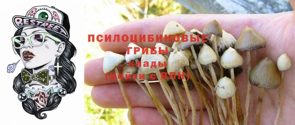 ГАЛЛЮЦИНОГЕННЫЕ ГРИБЫ Алексеевка